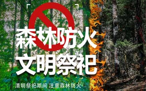 清明節：文明祭奠、預防火災