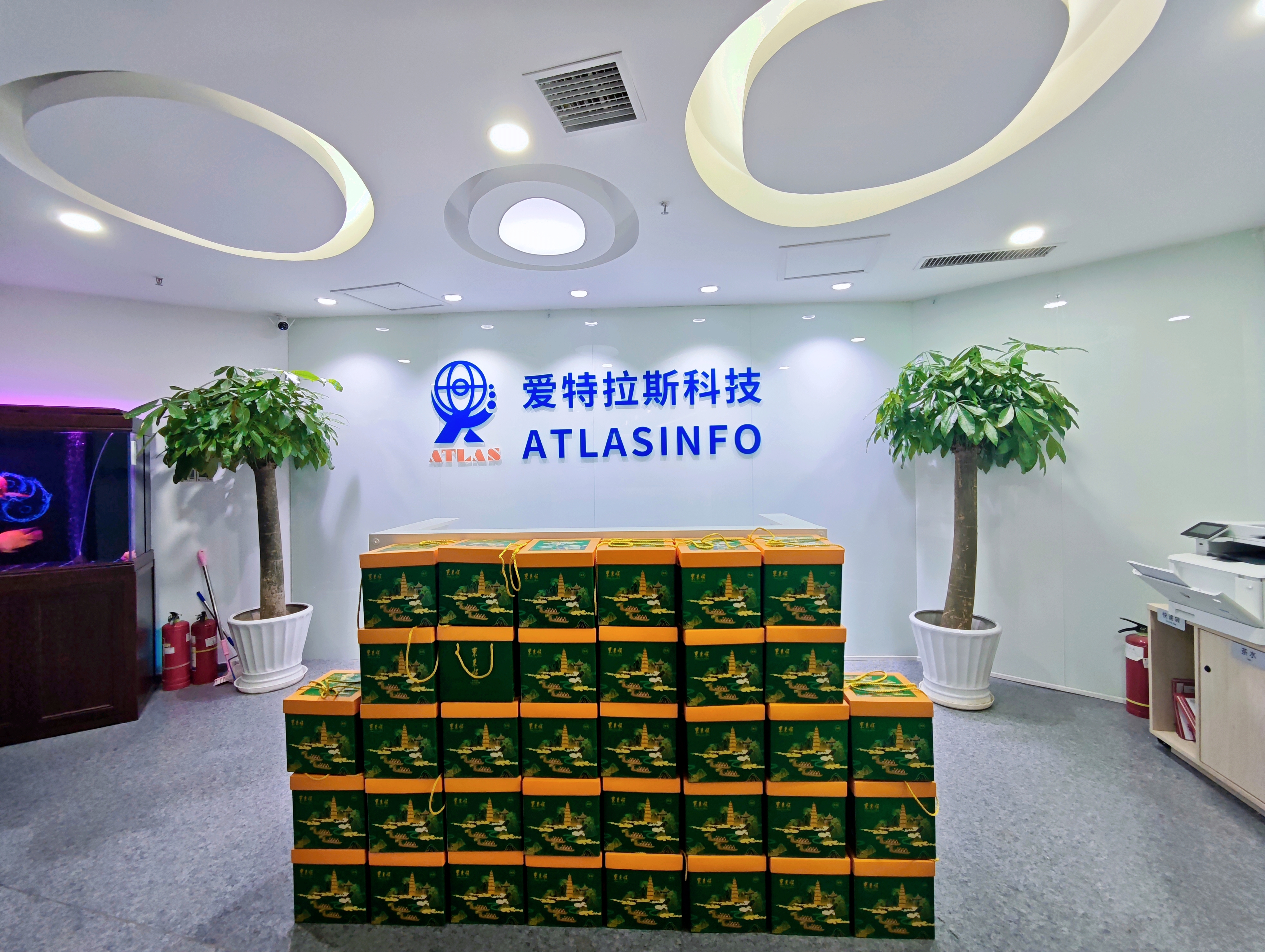 端午團圓時(shí)，思念是粽葉包裹的情